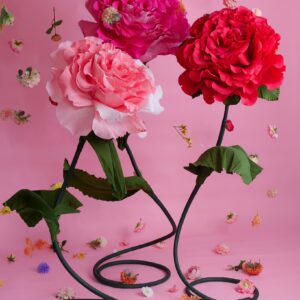 Fleurs géantes Pink Rose