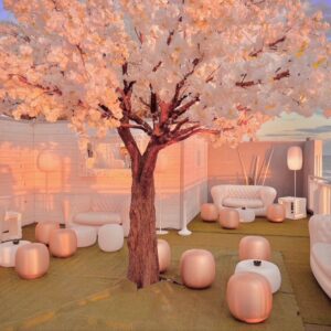 Photo d'un événement professionnel à La Réunion – Tree of love