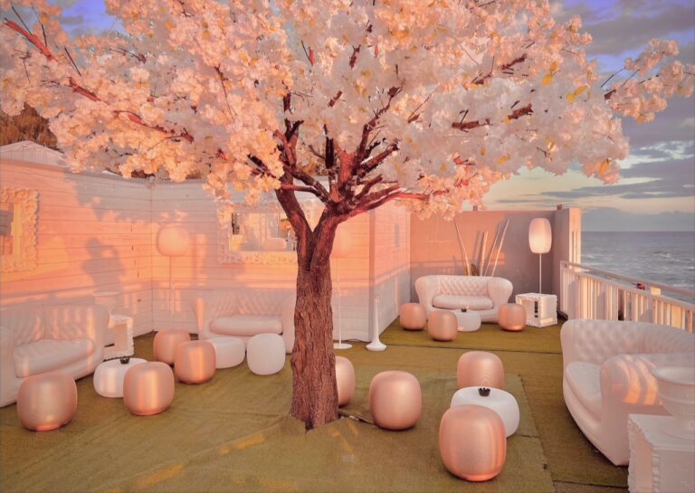 Photo d'un événement professionnel à La Réunion – Tree of love