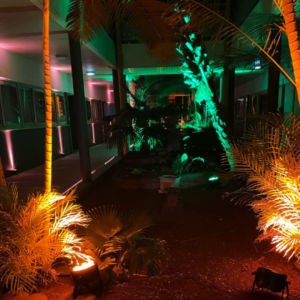 Éclairage événementiel