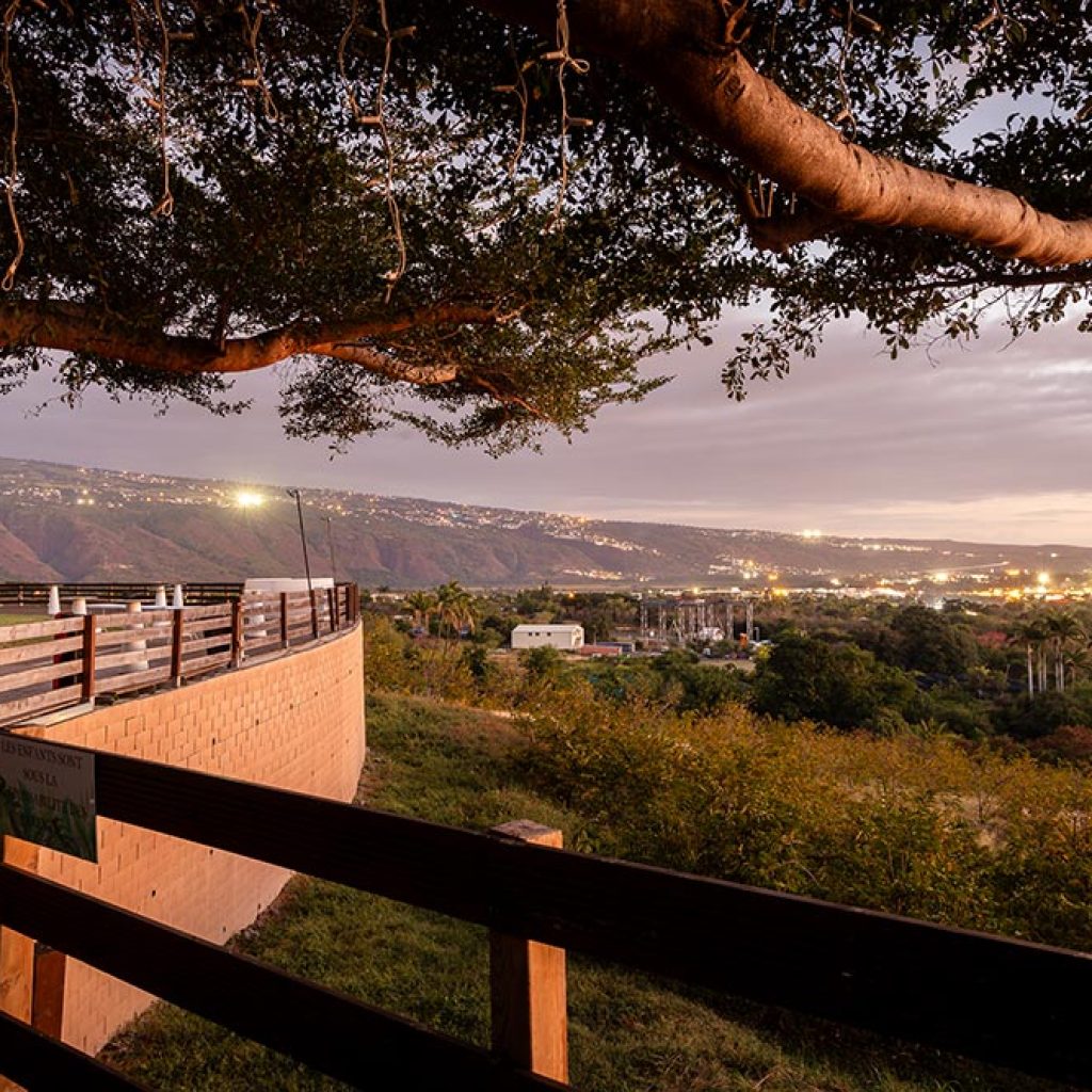 IM-230719-DomaineDesPalmiers-YAH-061