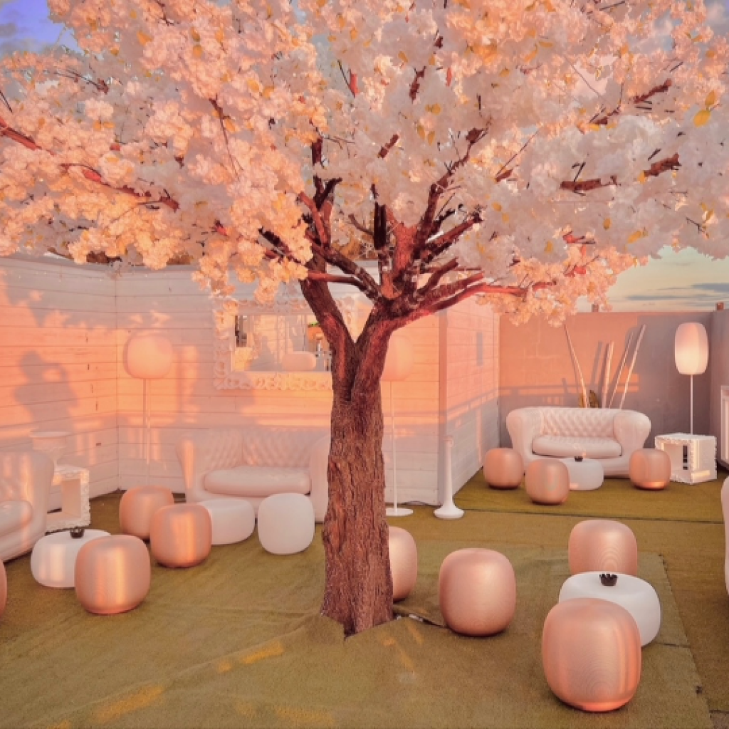 Photo d'un événement professionnel à La Réunion – Tree of love