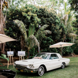 Ford Thunderbird, Parasol