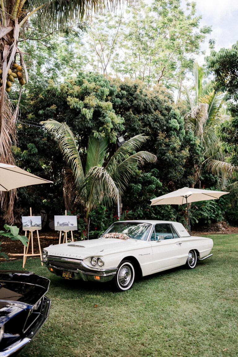 Ford Thunderbird, Parasol