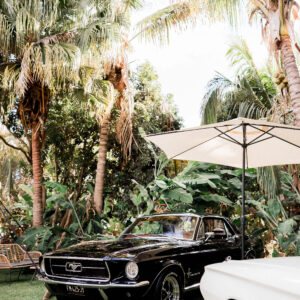 Ford Mustang, Parasol