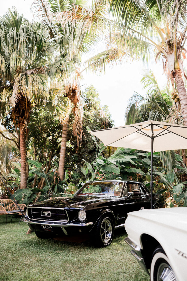 Ford Mustang, Parasol