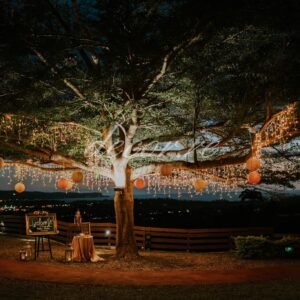Photo d'un mariage à La Réunion – Panneau de bienvenue – Stalactites lumineuses