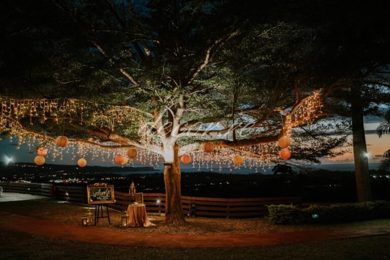 Photo d'un mariage à La Réunion – Panneau de bienvenue – Stalactites lumineuses